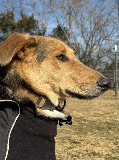 Bone Shaped Dog Tag